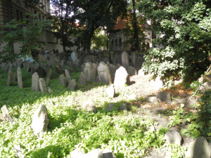 DSCN1254.JPG