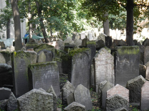 DSCN1255.JPG