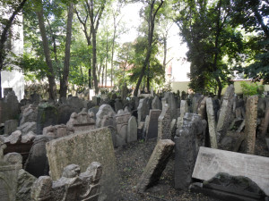 DSCN1257.JPG