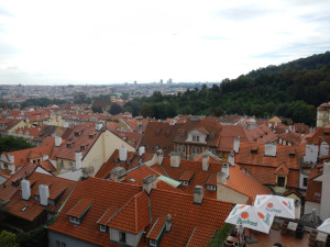 DSCN1258.JPG