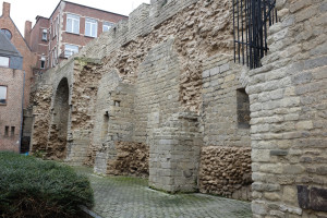 DSCF9170.JPG
