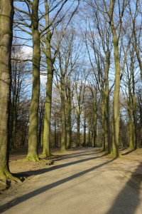 DSCF9269.JPG