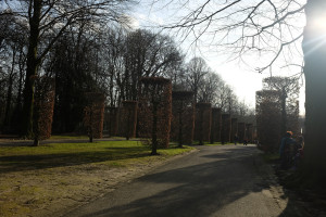 DSCF9270.JPG