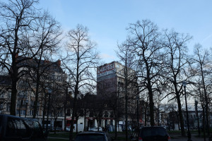DSCF9273.JPG