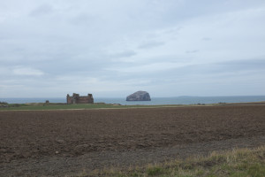 DSCF1034.jpg