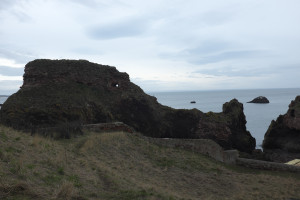 DSCF1035.jpg