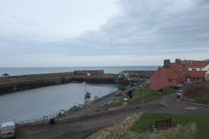DSCF1036.jpg
