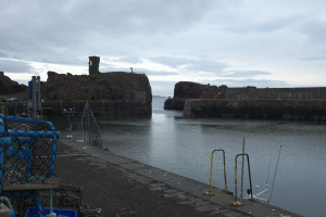 DSCF1037.jpg