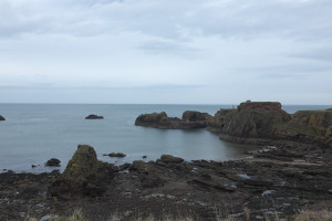 DSCF1044.jpg