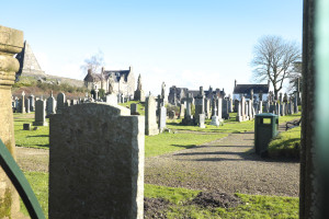 DSCF9359.jpg