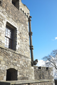 DSCF9376.jpg