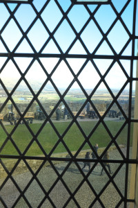 DSCF9390.jpg