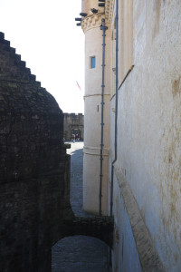 DSCF9401.jpg