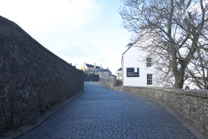 DSCF9402.jpg