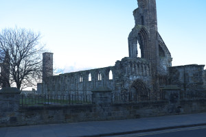 DSCF9416.jpg