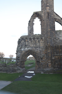 DSCF9417.jpg
