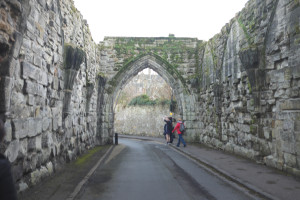 DSCF9419.jpg
