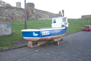 DSCF9421.jpg
