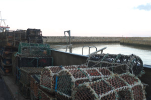 DSCF9422.jpg