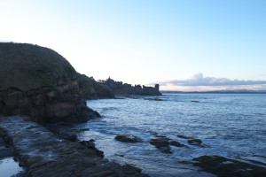 DSCF9423.jpg
