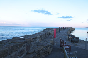 DSCF9424.jpg