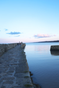 DSCF9425.jpg