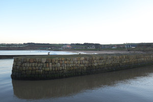 DSCF9426.jpg