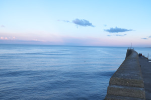 DSCF9429.jpg