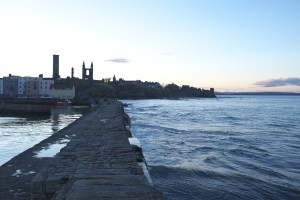 DSCF9430.jpg