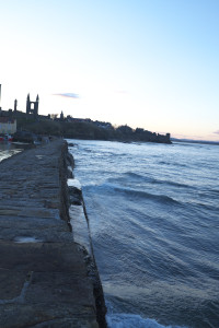DSCF9431.jpg
