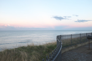 DSCF9433.jpg