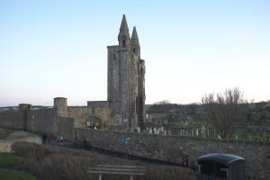 DSCF9438.jpg