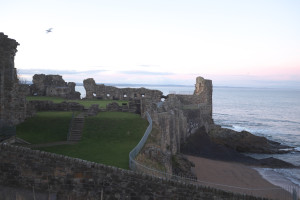 DSCF9439.jpg