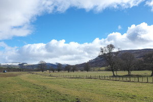 DSCF9441.jpg