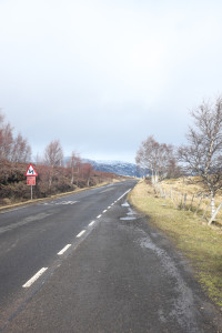 DSCF9442.jpg