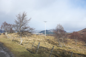 DSCF9443.jpg