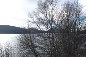 DSCF9445.jpg