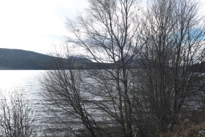 DSCF9446.jpg