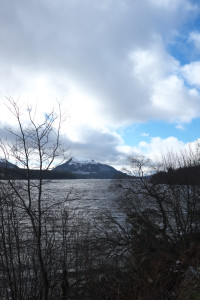 DSCF9447.jpg