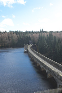 DSCF9449.jpg