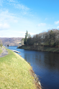 DSCF9454.jpg