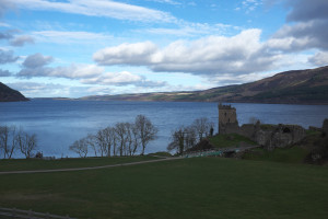 DSCF9469.jpg