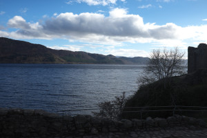 DSCF9475.jpg