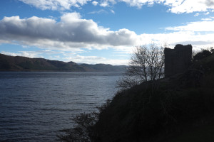 DSCF9476.jpg
