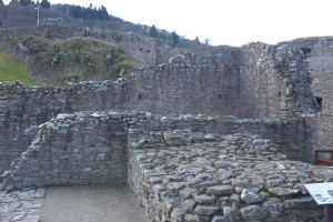 DSCF9478.jpg