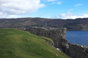 DSCF9479.jpg