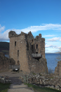 DSCF9480.jpg