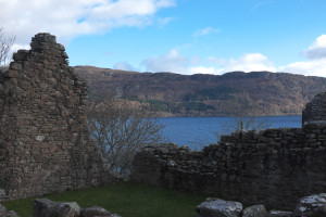 DSCF9481.jpg