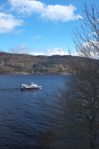 DSCF9482.jpg