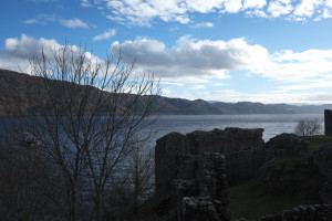 DSCF9483.jpg